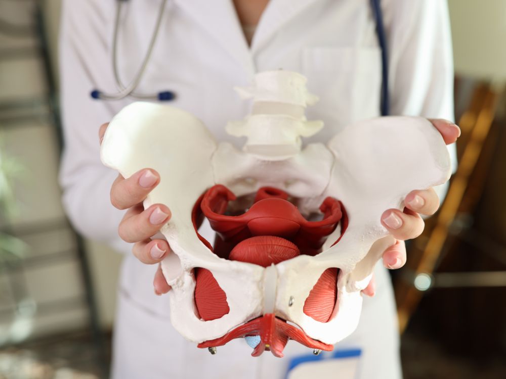 Fisioterapia Pélvica em Cristo Rei, Curitiba